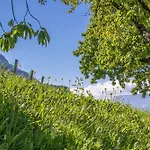 Cuve Merano
