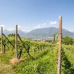 Cuve Apartmán *