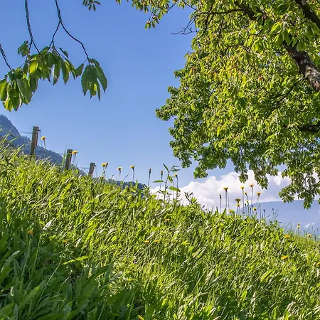 Cuve Μεράνο